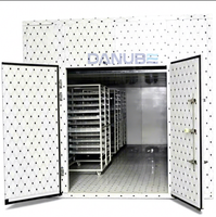 Geavanceerde Mango Warmtepomp Droogoven Fruitdroogmachine Mango Dehydrator Apparatuur