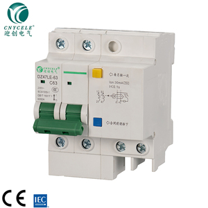 DZ47LE-63 RCBO 1P+N 2P Copper 6A-63A 30mA 100mA 6KA C Curve AC MCB RCCB Earth Leakage Overload Short Circuit Breaker - Product Image 4