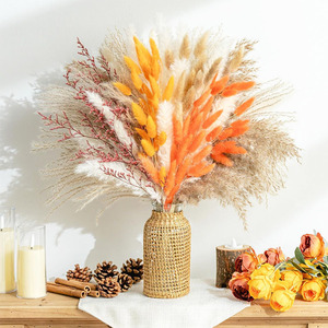 Bouquet de pampas séché naturel et écologique, moelleux, longue durée, véritable décoration de maison, mariage, fête des mères, Pâques - Product Image 4