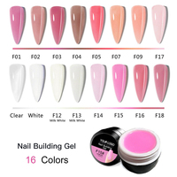 Gel d'extension de construction de gelée 16 couleurs Ensemble de gel d'extension d'ongle Uv Poly dur Gel Nail Builder
