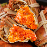 Crabe entier en pâte rouge prêt-à-manger surgelé de qualité supérieure Crabe précuit mariné au vin Hua Diao