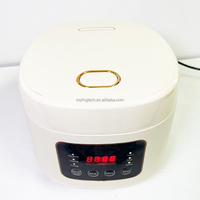 Mini cuiseur à riz 3L autocuiseur OEM usine chinoise appareils de cuisine électrique Ricecooker