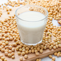 Poudre de lait de soja riche en protéines pour le fitness, sachet individuel, saveur originale, poudre de lait de soja instantanée pour le bureau