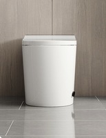 Toilette intelligente avec télécommande incluse, chasse d'eau automatique, cuvette allongée à sortie verticale, fonction lavage féminin, fabrication chinoise