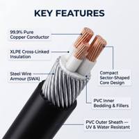 Câble d'alimentation basse tension blindé 4 1 5 conducteurs 25mm2 35mm2 50mm2 isolé XLPE gaine PVC norme CE IEC 0.6/1kV