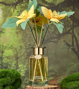 Vente en gros chaude YOUNIKE PARFUME Diffuseur de roseaux en verre Parfum floral longue durée Améliorer l'aromathérapie Parfum de vie moderne - Product Image 2