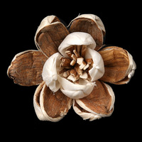 Stok Tersedia D3.5cm Bunga Daisi Persia Ganda Buatan Tangan dari Kayu Sola, Dekorasi Pernikahan, Bunga Awet, Dekorasi Rumah