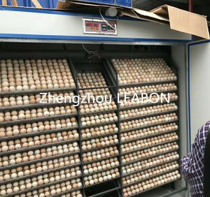 Automatique <span class=keywords><strong>Faisan</strong></span> Poulet Incubateur et Éclosoir - Product Image 5
