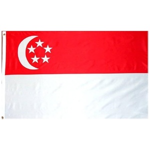 Bandera de <span class=keywords><strong>Singapur</strong></span> 3x5 pies, 100D, con 2 ojales metálicos, resistente a la decoloración, colores vivos, bandera de 3x5 pies, venta al por mayor personalizada - Product Image 1