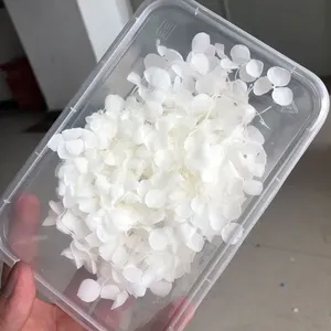 Flores de Hortensia Secas de Alta Calidad para Decoración de Bodas, <span class=keywords><strong>Hortensias</strong></span> Preservadas - Product Image 2