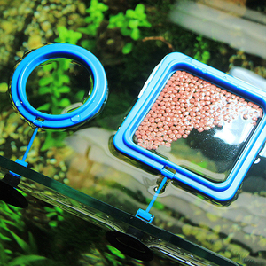 Anneau d'alimentation pour poissons, accessoire d'aquarium, mangeoire carrée ou ronde avec ventouse, pour aliments et accessoires - Product Image 3
