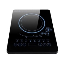 Table de Cuisson Électrique à Induction de 2200W, Qualité Supérieure, Durable, pour Usage Domestique et Hôtelier, Fiche US, Boîtier en Plastique, avec Casserole
