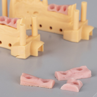 Résine pour masque gingival Molegrid, impression 3D, modèle de gencive, résine de polymérisation UV 405 nm, résine LCD DLP pour dentisterie