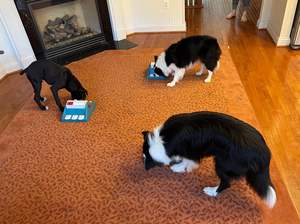 KADTC köpek bulmaca oyuncak için küçük/orta köpekler zihin oyunu yavru öz oyna iplik 'yemek gıda kapasitesi 14oz ayarlanabilir yavaş besleyici - Product Image 6