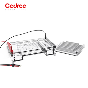 전기영동 장치 수평형 전기영동 탱크 실험실 핵산 단백질 아가로스 겔 검출 이송 탱크 - Product Image 6