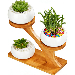 Lot de 3 pots de fleurs ronds <span class=keywords><strong>en</strong></span> céramique blanche de 3 pouces avec support <span class=keywords><strong>en</strong></span> <span class=keywords><strong>bambou</strong></span> à plusieurs niveaux pour la décoration du jardin, de la cuisine, de la maison et du bureau - Product Image 1