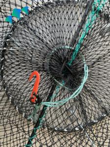 Cage à ressort ronde pliable Sea Bold pour attraper les crabes, outil <span class=keywords><strong>de</strong></span> pêche aux crabes en <span class=keywords><strong>bord</strong></span> <span class=keywords><strong>de</strong></span> <span class=keywords><strong>mer</strong></span>, cage à ressort - Product Image 4