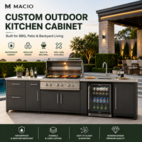 Armoires de cuisine de luxe en bois grainé, armoires de cuisine avec éclairage LED intégré, placards de cuisine avec fourniture prête à assembler