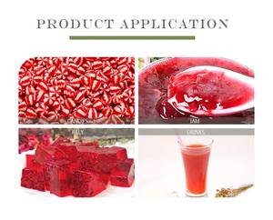 Fábrica al por mayor 100% Extracto de rábano natural de grado alimenticio colorante en polvo rojo rábano - Product Image 3