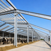 Estructura de Acero Galvanizado en Caliente, Resistente, para Gallinero, Nave Avícola Prefabricada, Edificio Automatizado para Granjas de Pollos de Engorde y Ponedoras