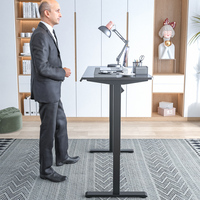 Bureau Assis-Debout Électrique Motorisé Ergonomique de Haute Qualité à Hauteur Réglable