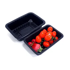 Food Grade Agriculture Products Bulk PP Packaging Disposable Multi Dimensions Plastic Packing Tray for Meat Fruit Vegetable