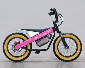 Vélo de <span class=keywords><strong>route</strong></span> électrique 800w 36v gros pneu vélo électrique spécialisé mini vélo de ville électrique 16 pouces hors <span class=keywords><strong>route</strong></span> vélo - Product Image 2