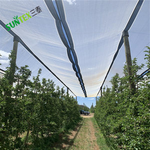 Nhựa PE rõ ràng trắng chống mưa đá lưới Bird <span class=keywords><strong>Net</strong></span> trái cây và rau quả bảo vệ <span class=keywords><strong>Net</strong></span> - Product Image 6