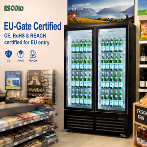 Refrigerador Comercial de Doble <span class=keywords><strong>Puerta</strong></span> Vertical para Bebidas, Vitrina Exhibidora de Bebidas, Enfriador de Bebidas para Restaurantes y Cocinas - Product Image 6