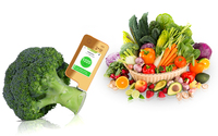 Greentest ECO6 T Groenten Fruit Vlees Vis Waterkwaliteit Straling Nitraatresten Voedsel Milieuvriendelijke Veiligheidstester