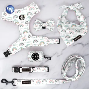 Adjustable pet collars leashes customization dog accessories premium hardware dog collar adjustable soft padding manufacture