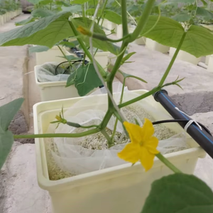 Hochwertiges Perlit: Ideal für Hydrokultur, Bodenverbesserung, Gebäudedämmung - Leicht, Porös, Langlebig - Product Image 2