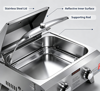 Barbecue portable pliable moderne à gaz naturel en acier inoxydable à 2 brûleurs pour table extérieure