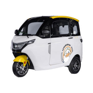 Mini voiture <span class=keywords><strong>3</strong></span> <span class=keywords><strong>roues</strong></span> EEC COC Tricycle électrique Voiture Cabine fermée Prix d'usine Chine - Product Image 2