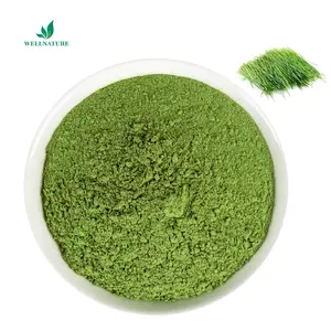 Wellnature lúa mạch cỏ bột lúa mạch nước trái cây cỏ bột màu xanh lá cây cỏ lúa mạch tập trung bột