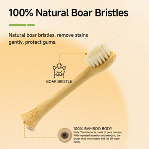 Têtes de brosse à dents de rechange en <span class=keywords><strong>bambou</strong></span> biodégradable, poils souples en poils de sanglier, pour modèles Sonicare Flexcare, vente en gros - Product Image 5