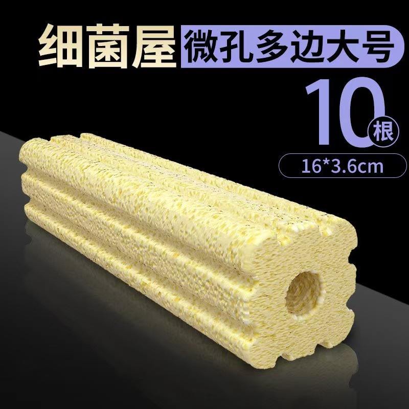 Bacteria House Large Size  Pack of 10 (Polygon)