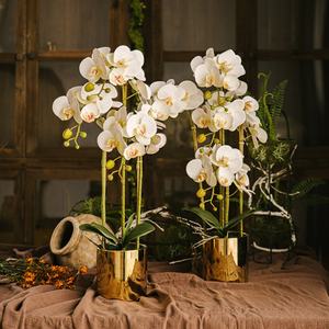 Orchidea di tocco reale del ramo del gambo del fiore artificiale dell'orchidea della farfalla di stampa 3D di alta qualità <span class=keywords><strong>In</strong></span> <span class=keywords><strong>vaso</strong></span> dorato - Product Image 3