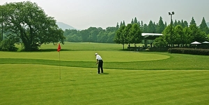<span class=keywords><strong>Gazon</strong></span> artificiel professionnel pour putting green, <span class=keywords><strong>gazon</strong></span> <span class=keywords><strong>synthétique</strong></span> résistant aux UV pour usage intérieur et extérieur - Product Image 6