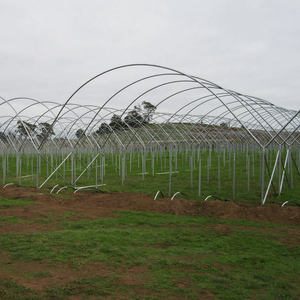 In Inflatable Blueberry <strong>Greenhouse</strong> with <strong>Etfe</strong> <strong>Greenhouse</strong> Film - Product Image 5