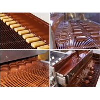 Ligne de recouvrement automatique de chocolat pour biscuits et noix, 15 kg/lot, en acier inoxydable, machine à glaçage de beignets et à enrobage de chocolat