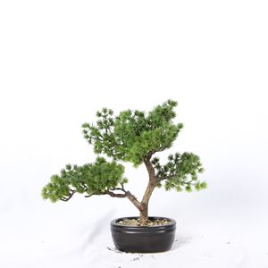 شجرة بونساي صنوبر خضراء صناعية صغيرة للبيع بالجملة، بطول 60 سم وعالية الجودة، مناسبة للديكور الداخلي - Product Image 5