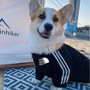 Ropa de Lujo para Perros de Marca Reconocida, Sudadera Deportiva Abrigada para Otoño, Ropa para Mascotas, Bulldog Francés, Talla XXL/XL, Hecha de Poliéster, Color Sólido, Lavado a Máquina - Product Image 3