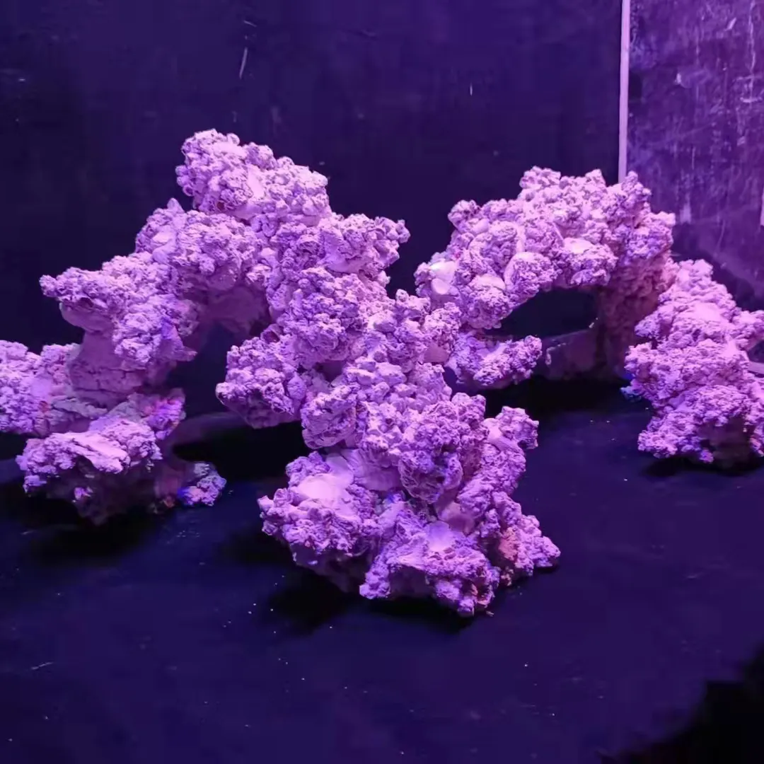 Serbatoio di pesce marino acquario paesaggistico artificiale barriera corallina in vendita