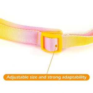 Nouveaux accessoires pour animaux de compagnie, collier pour chien robuste avec boucle en métal, colliers pour promenades, collier durable pour chien pour l'extérieur et l'entraînement - Product Image 4