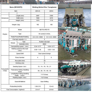 Trapiantatrice di riso Wishope di alta qualità a 4 file, ad alta velocità, tipo a cavalcabile - Product Image 6