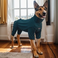 Pyjama pour chien toutes saisons, écologique, léger, réglable, col montant, pull chaud, vêtements pour chien à quatre pattes