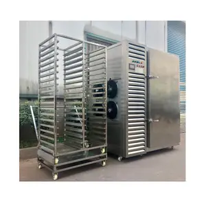 高品质专业工厂快速冷冻机鼓风冰柜用于糕点