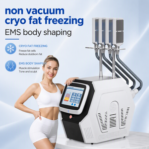 Nuova Tecnologia EMS Macchina per <span class=keywords><strong>Crioterapia</strong></span> e Congelamento del Grasso - Product Image 1