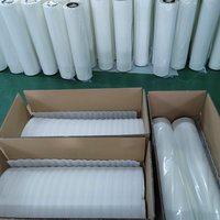 Rouleau de film DTF 30cm 60cm, film PET à décoller à chaud pour l'impression numérique sur vêtements, transfert pour imprimante jet d'encre 13 pouces